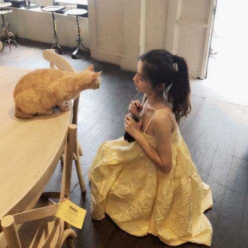 獨(dú)戰(zhàn)兇狼