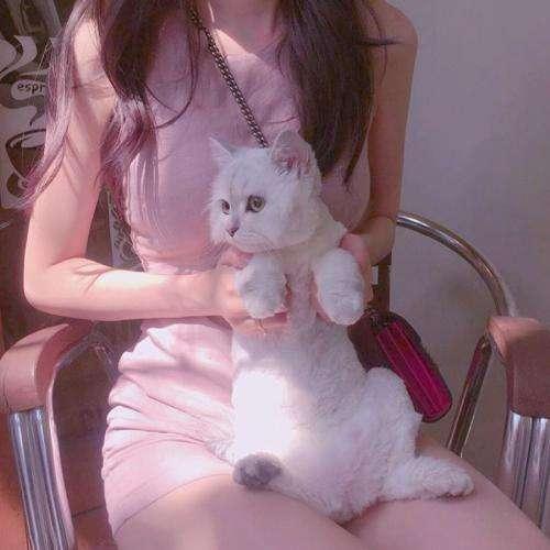 免费在线观看av网址