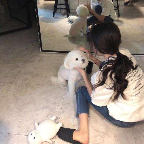 她最想維護的，恰恰就是他的驕傲