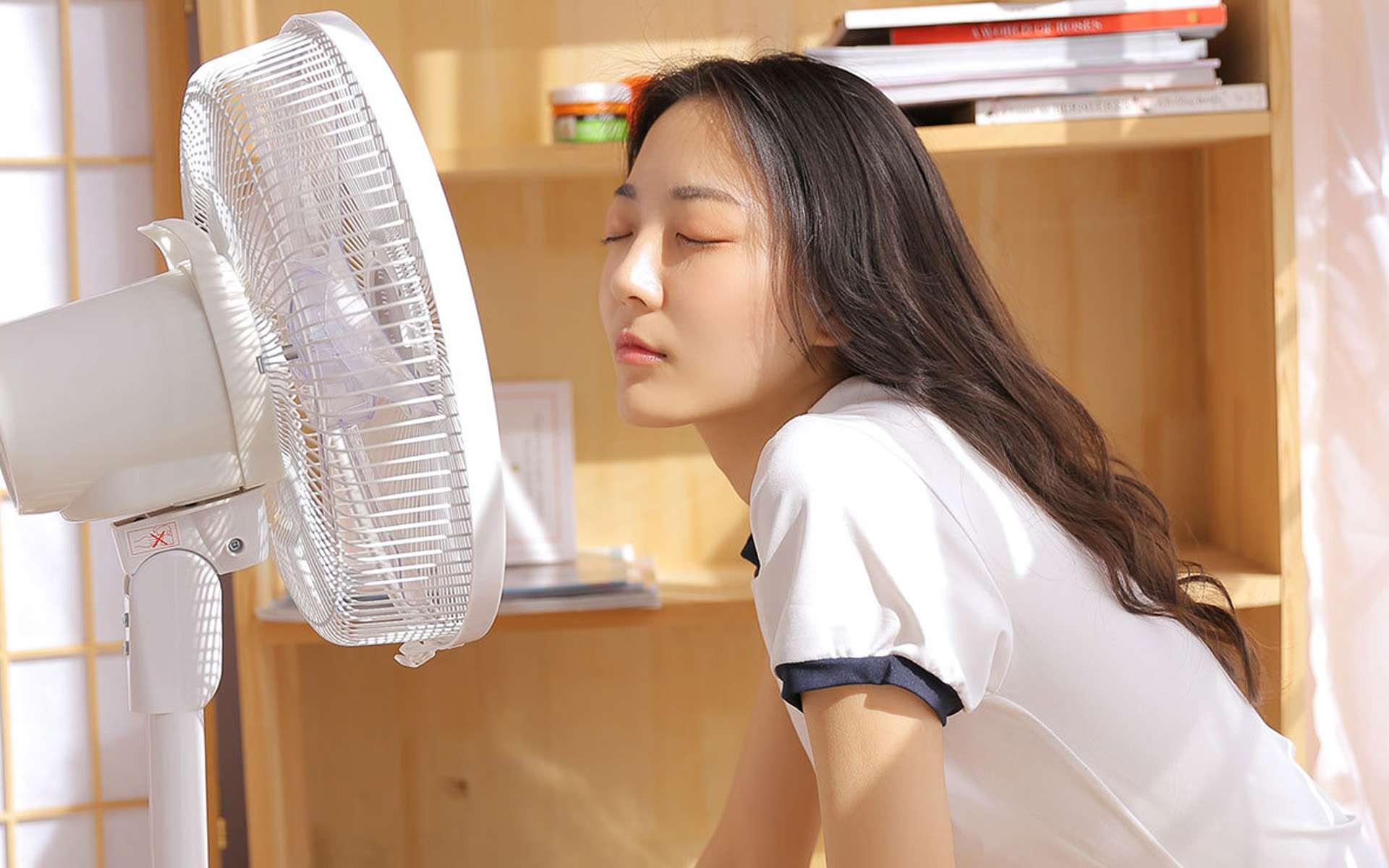 大京城本寶寶來羅