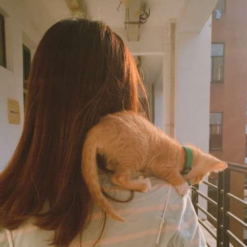 倔強(qiáng)的孫倩