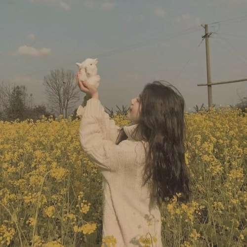 魔宗（第二更）