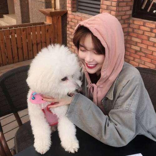 廟堂老梁，北涼青壯