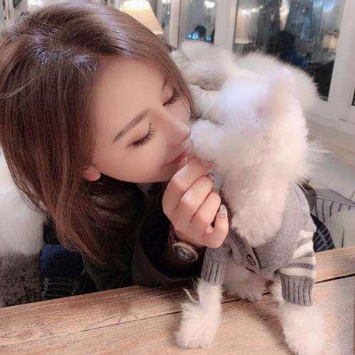 婚禮，預(yù)知夢(mèng)