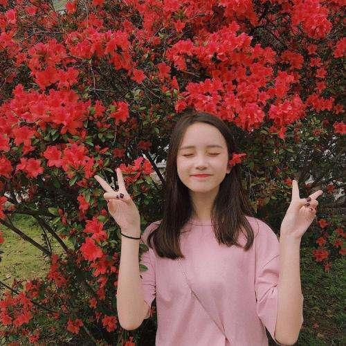 ：人形暴龍，軒轅紅棉