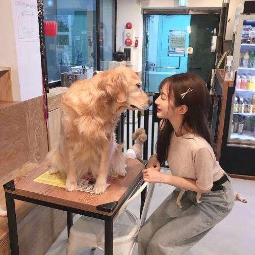 打發(fā)了的寒酸少年