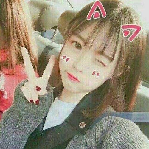 美女免费视频一区