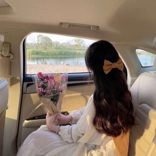 達(dá)里爾領(lǐng)的瓦勞德領(lǐng)主