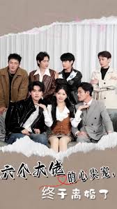 六個(gè)大佬的心尖寵，終于離婚了