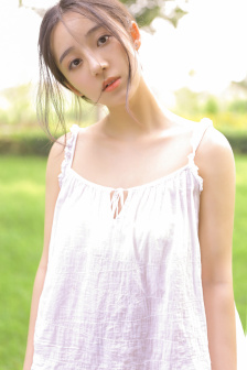 風(fēng)皇四足鷲