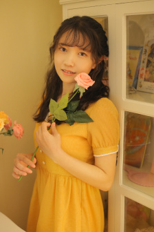 盜版清麟府(十三)