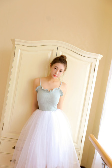 解散雪家軍（2）