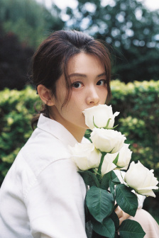 光明獸、九子龍碑